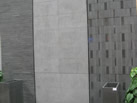 ɫʯ