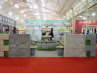 xiamen hottop stone