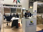 GRANEX
