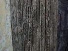 Ʒ