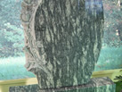 Ĺ