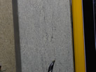 ó