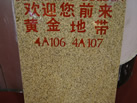 ǹ