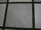 Ʒ