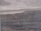 Ʒ