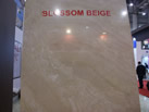 BLOSSOM BEIGE