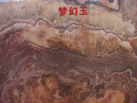 λ