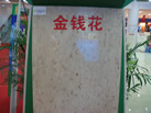 Ǯ