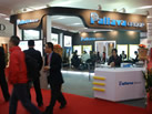 Pallava group