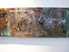 black petrified wood