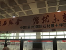ʮʯչ