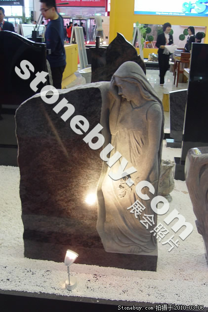 ʮʯչ