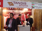 TANDIS STONE