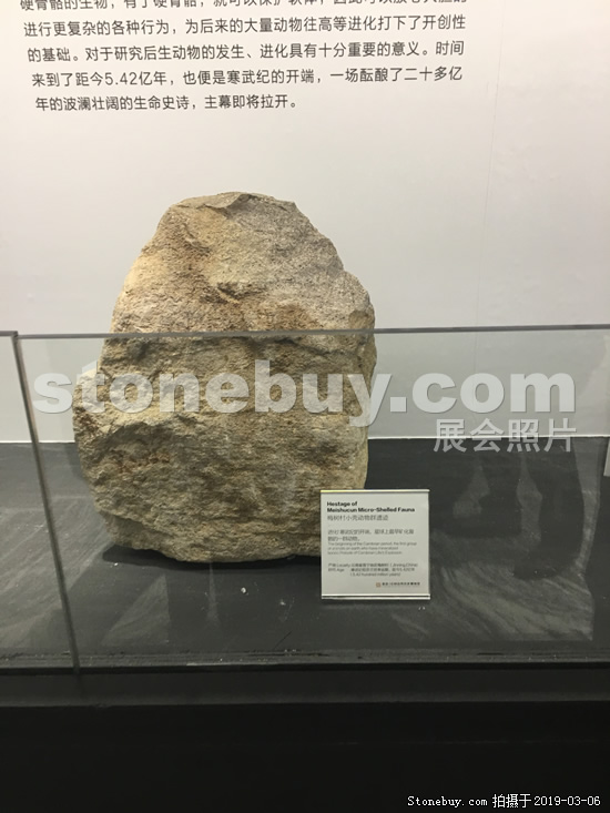 第十九届厦门石材展