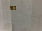 ̩ʯ޹˾