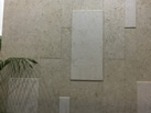 ׿ڼ