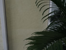 Ƹʯ޹˾