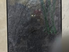 ʯó޹˾