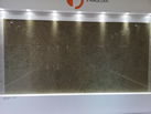 PRAGOSA