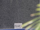 Ʒ-ŕN
