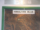Ʒ-չƬ