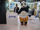 ferraz