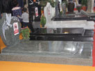 Ĺ-XIAMEN ZHONGRI STONE