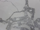 Ʒ-R.H.F QUARTZ STONE