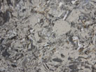 Ʒ-fasa stone