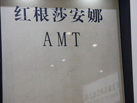 ɯ-AMTʯ޹˾