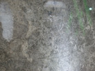 Ʒ-ʯ