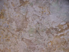 Ʒ-MADHUCON