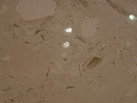 Ʒ-Crema