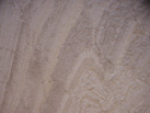 Ʒ-MOSCHOU
