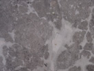 Ʒ-ųʯó޹˾