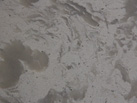 Ʒ-ٹ