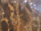 Ʒչʾ