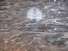 Ʒչʾ