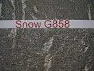 Snow G858