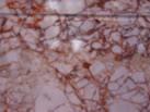 Ʒ