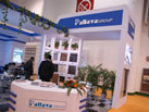 Pallava Group