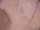 Ʒ