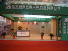 第十三届中国（莱州）石材展览会