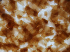 Ʒ - ʯ