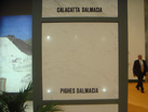 pighes dalmacia - CONSTANTINE
