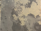 Ʒ - richter india pvt ltd