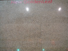 New Goldenleat - żʯҵ