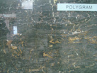 polygram - ʤʯҵ
