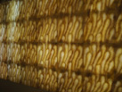 Ʒ - ʯ