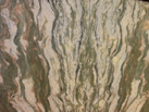 Ʒ - ARAVALI